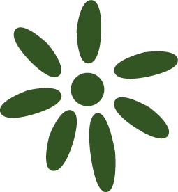 Blume