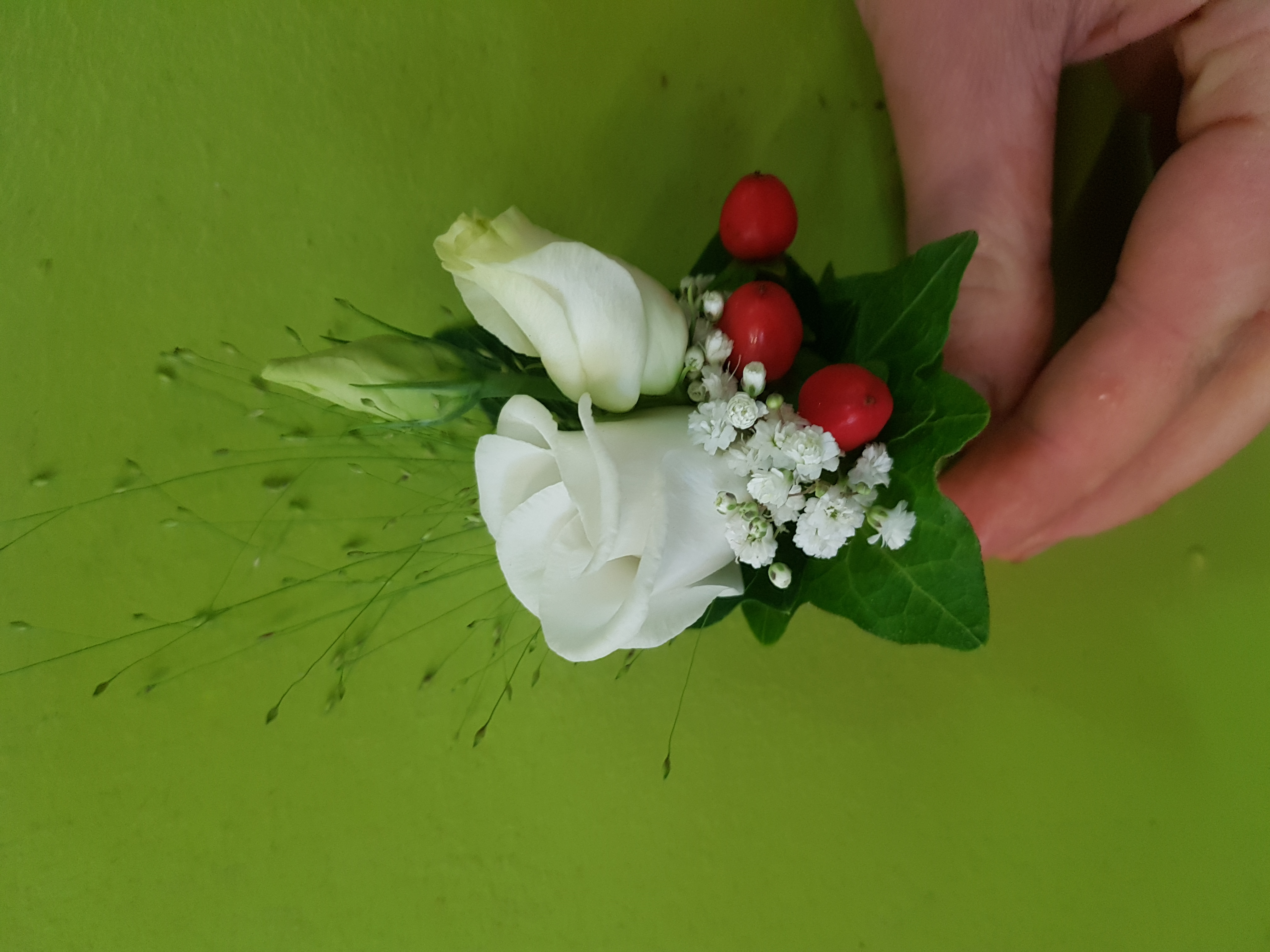 Rose in Weiß